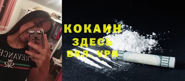spice Аркадак
