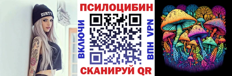 Псилоцибиновые грибы Psilocybine cubensis Карпинск